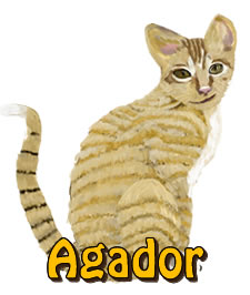 Agador | Agador and Mila's Jungle Adventure | Children's Picture Book  | Amazon & Amazon Kindle